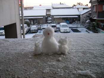 浜松に雪！　寒っ！