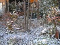 雪景色 2012/02/02 17:31:47