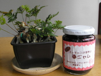 桑ジャム