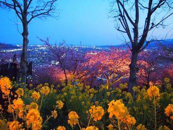 まつだ桜まつり～♪　その　に～！！夜景
