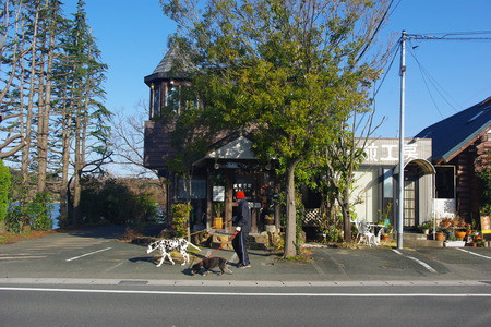 かふぇりや