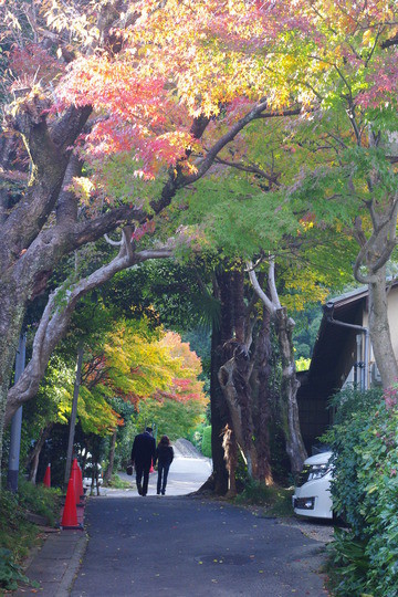 ふたりの紅葉