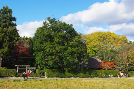 嵯峨野へ