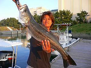 そろそろ釣らねば