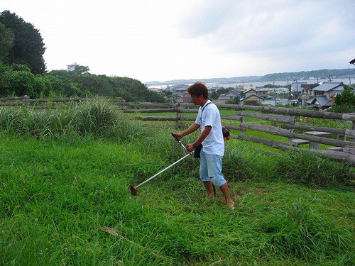 5年前のやぎの丘・・・・