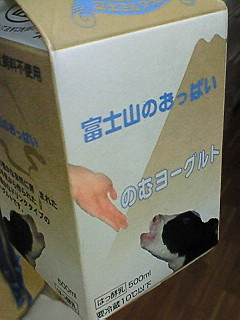 山梨へ出張〜♪