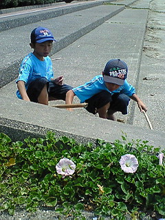 館山寺に来てます♪