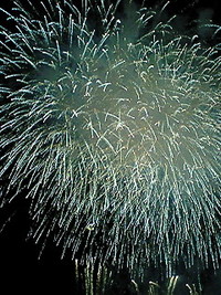 西鹿島の花火大会！！ 2010/08/07 21:11:23