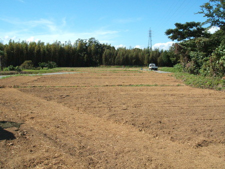 広大な面積の庄和町農場の畑作り