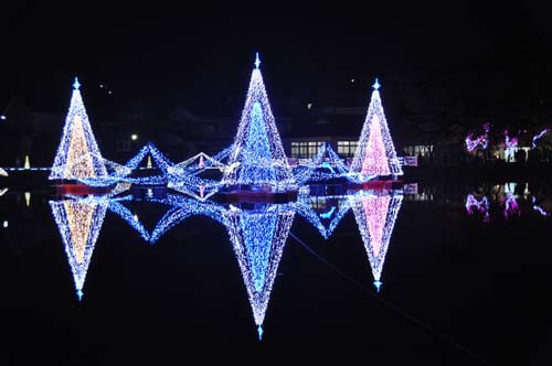 野守の池イルミネーション