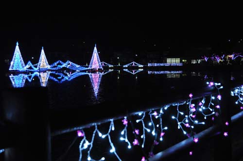 野守の池イルミネーション