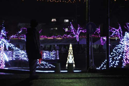 野守の池イルミネーション