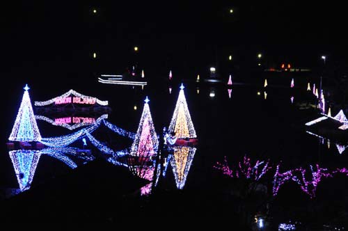 野守の池イルミネーション
