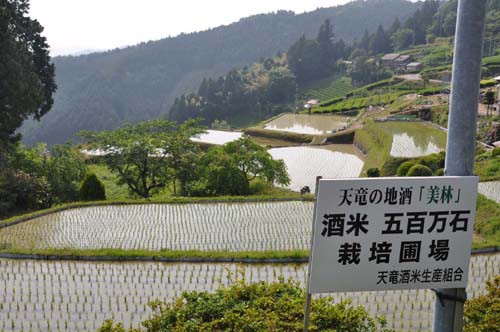 大栗安の棚田