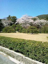 伊勢志摩♪ 2012/04/09 10:34:15