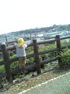 眺めてみたら