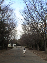 ゆくとし　くるとし