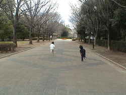 ゆくとし　くるとし