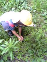 道草　寄り道　帰り道