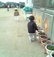 野に咲く花のように