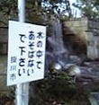 好き