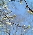 いちばん
