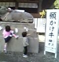 お日さまに誘われて