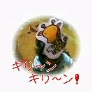 大運動会