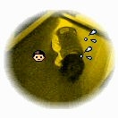 ふたりとも