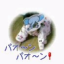 大運動会
