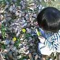 あなたがいるから