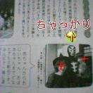 浜松こども情報誌