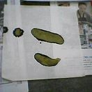 自由に書こうよ