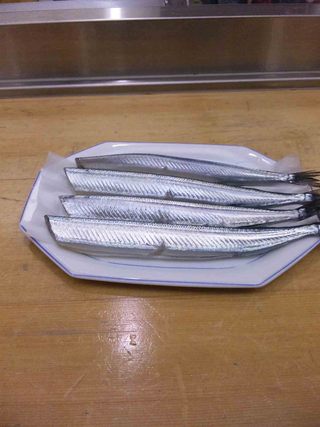 スリム宣言