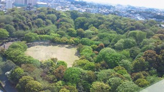 桜のあとは・・・