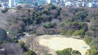 桜のあとは・・・