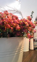花の中のサーカス
