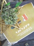 キノミキノママ