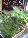 キノミキノママ
