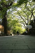 日曜日はコトコト市！