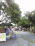 雨の中でもＳＵＮＮＹ　ＤＡＹ！