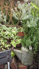 Ｌａ　ｃａｃｈｅｔｔｅ
