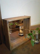 入荷しました。