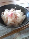 春のごはん