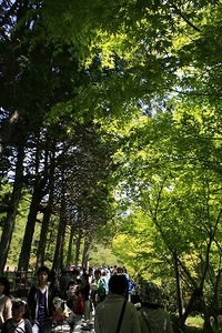 コトコトブログ