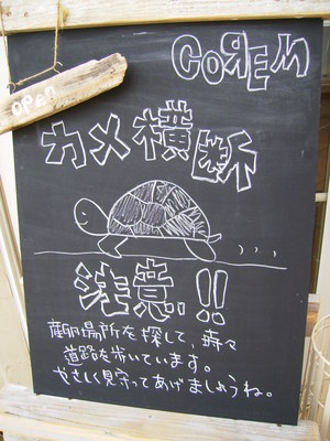 カメ横断注意！