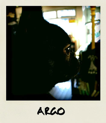 ａｒｇｏ
