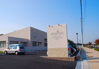 shop ilex