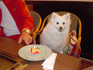 ペットのお祝い、バースデーケーキプレゼント！