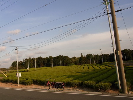 怪奇！？衝撃の地元町内自転車散歩　
